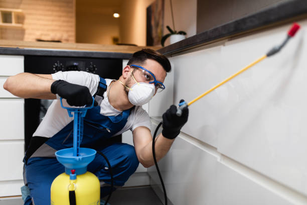 Best Exterminator Services  in Houston, TX