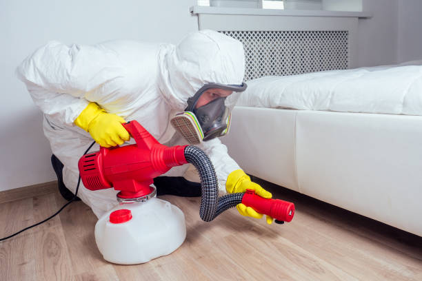 Professional Pest Control in Houston, TX