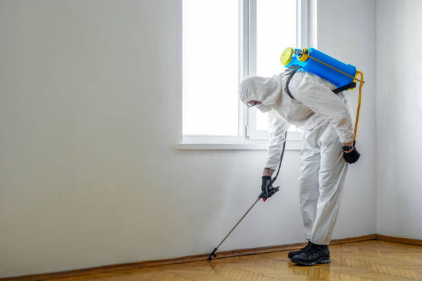 Best Rat Extermination Near Me  in Houston, TX