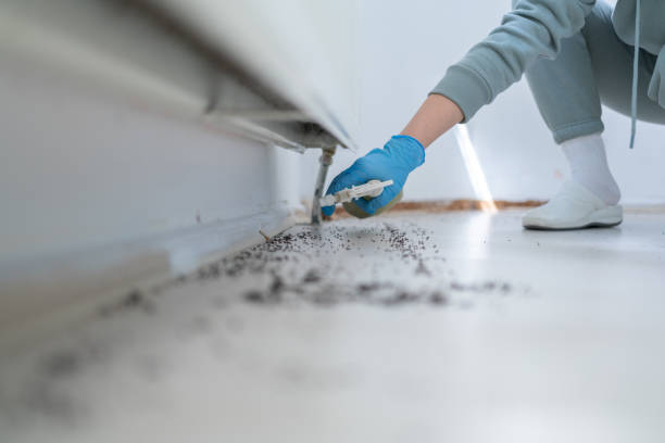 Pest Control Cost in Houston, TX