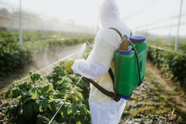 Best Pest Control Cost  in Houston, TX